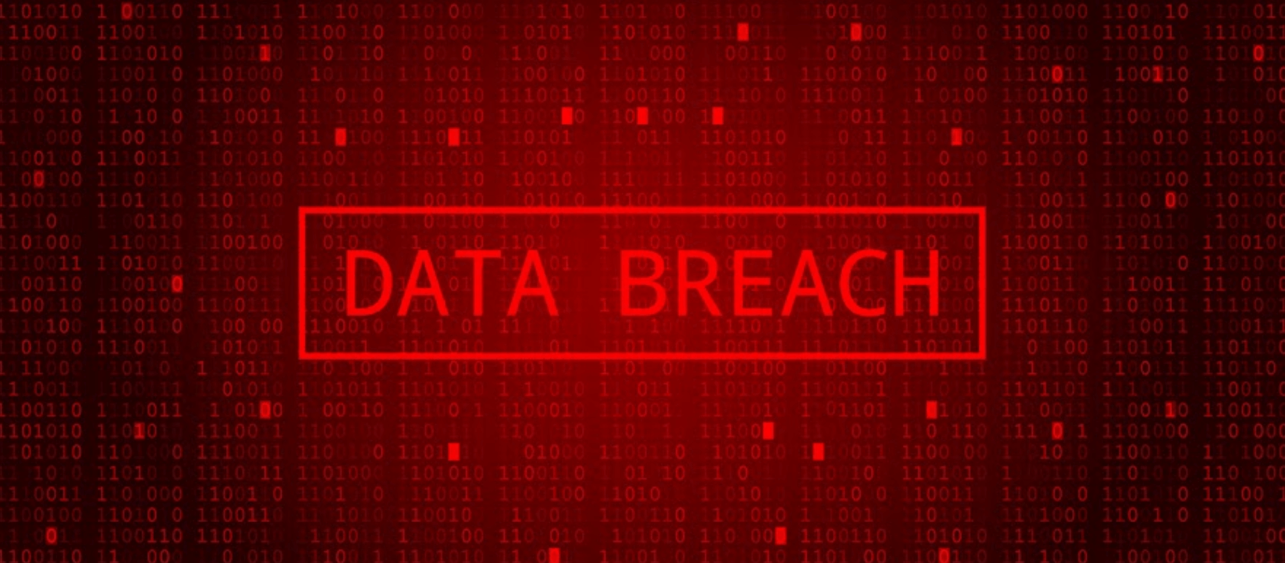 What to Know if Your Business Has Experienced a Data Breach